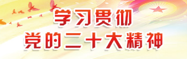 学习贯彻党的二十大精神